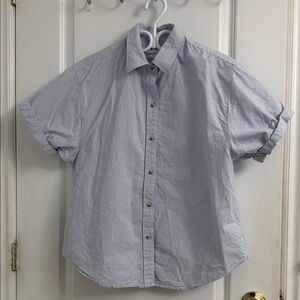 Aritzia Blue Striped Button Down Shirt